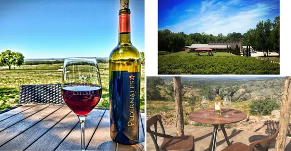 Estas 6 bodegas de Texas ofrecen catas en porches con vistas a los viñedos