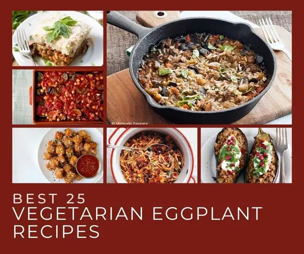Best 26 Vegetarian Eggplant Recipes