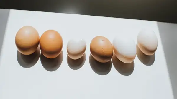 Chicken Vs Duck Eggs: Is There A Flavor Difference?