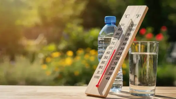 Summer hydration checklist: Staying cool, energised and balanced