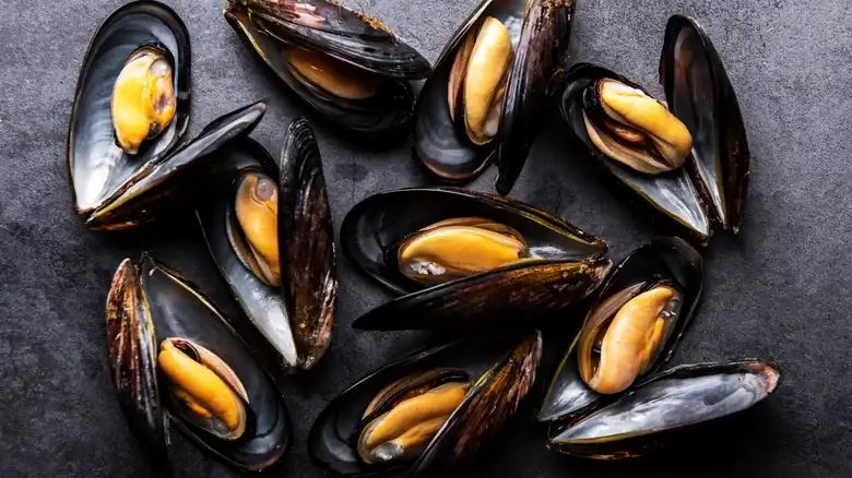 ¿Por qué los mejillones no tienen tanta arena como las almejas?