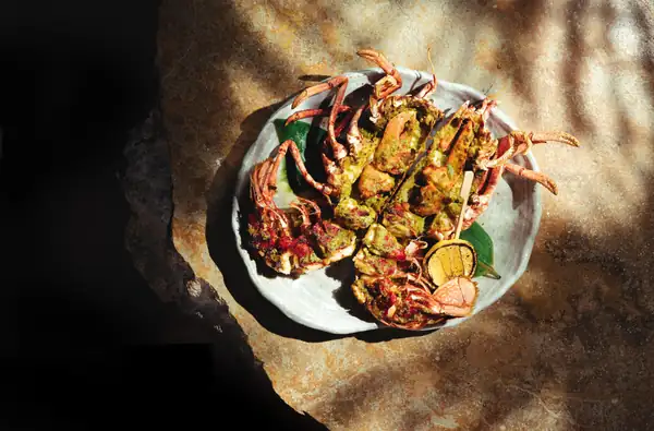 Global Japanese Izakaya Chain Zuma Debuts Its First California Location in San Diego