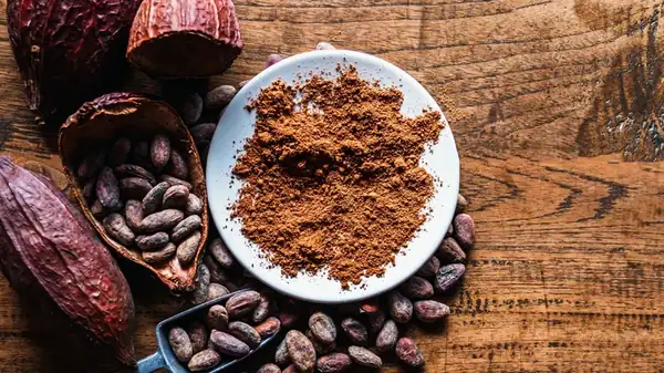 Natural Cocoa Vs Dutch Cocoa Powder: What's The Distinction?