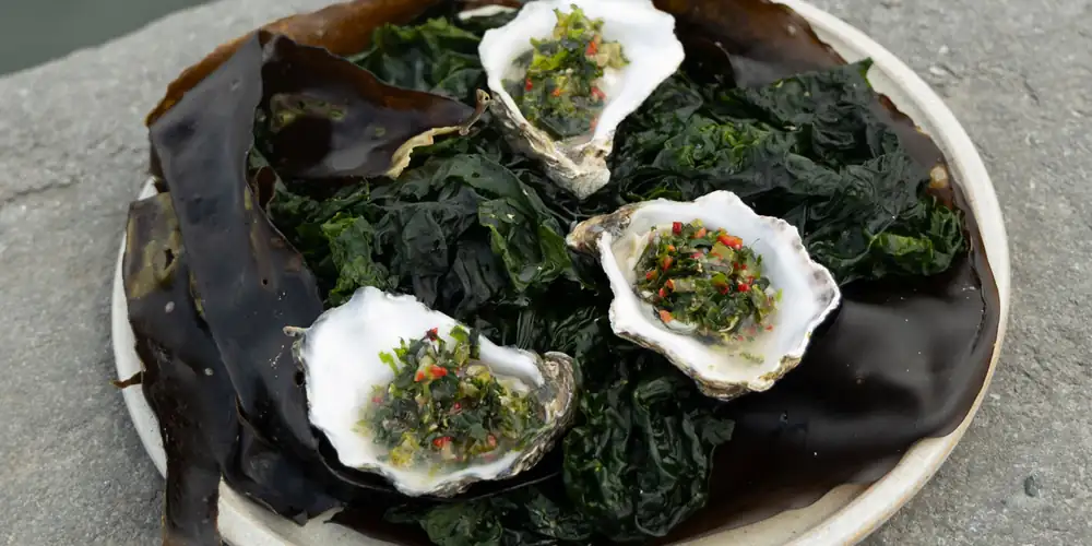 Receta de ostras de Galway con poitín y tartar de algas