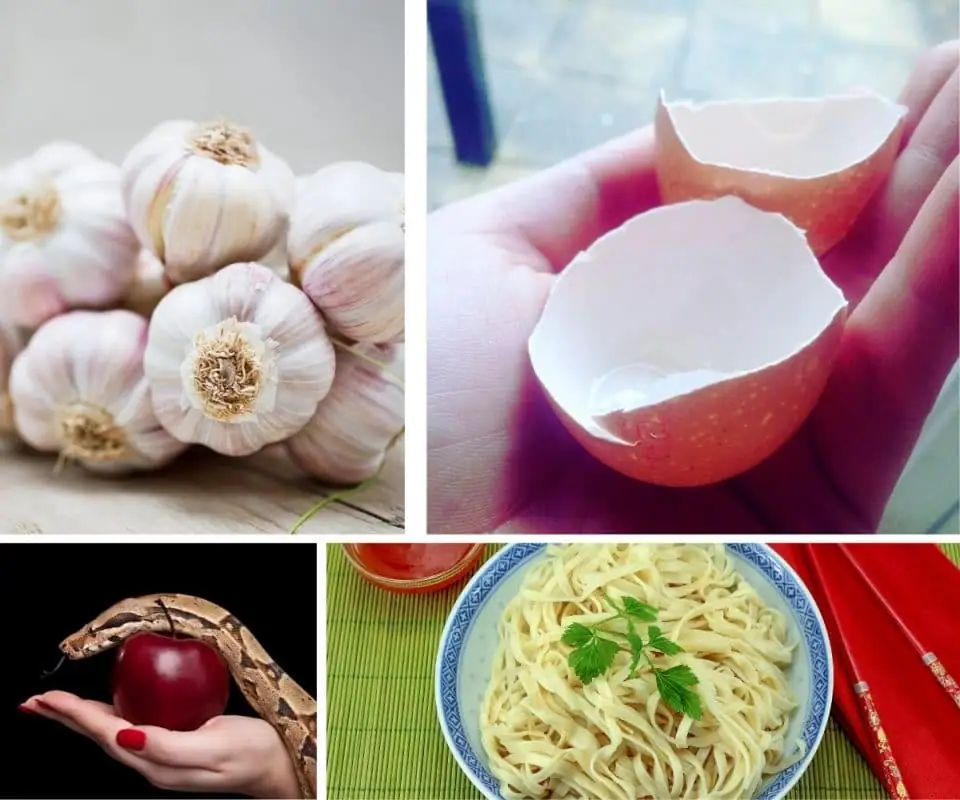 13 Cursed Foods and Food-Related Superstitions from Bad Apples to Spilling the Tea