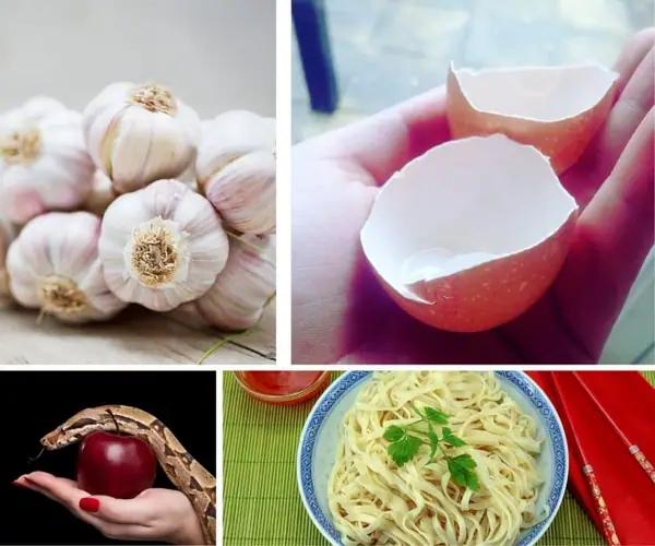 13 Cursed Foods and Food-Related Superstitions from Bad Apples to Spilling the Tea