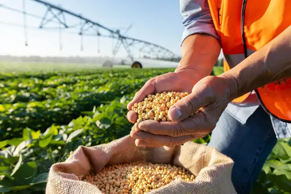 EU-Funded Research Explores Sustainable Protein Alternatives for European Agriculture