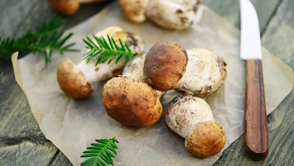 The mistake when cleaning mushrooms that ruins their flavor