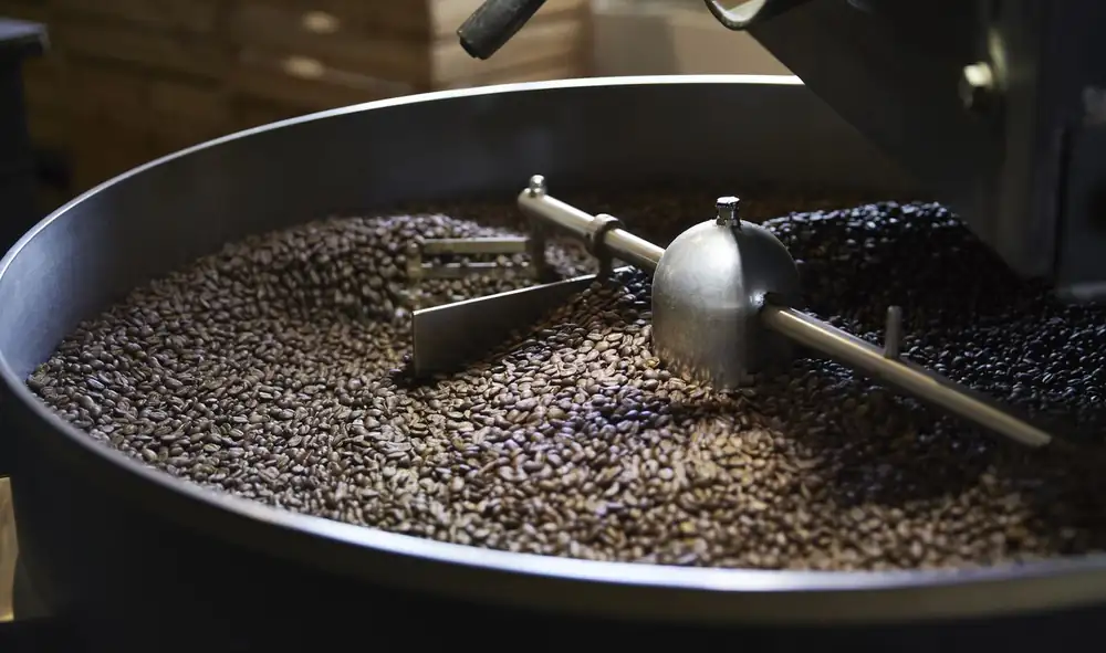 The best coffee roasters in Germany