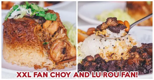 Chong Jia Food Review: Huge Chicken Fan Choy And Lu Rou Fan Under $5 At Jurong West