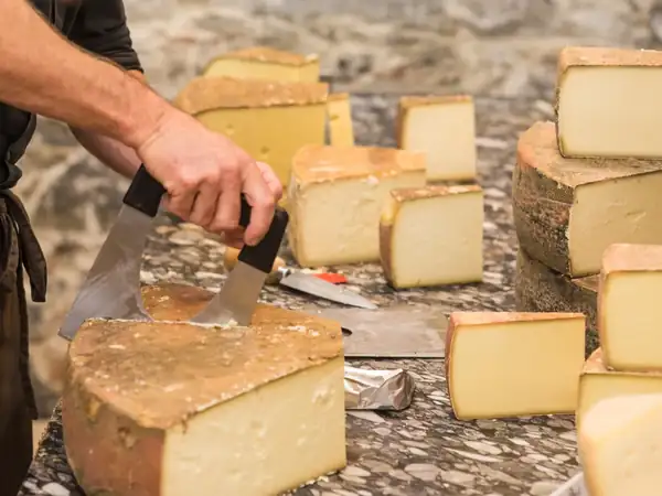 Cheese knowledge: The best tips for cheese lovers