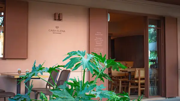 Casa Elena, signature cuisine and warm design in La Condesa