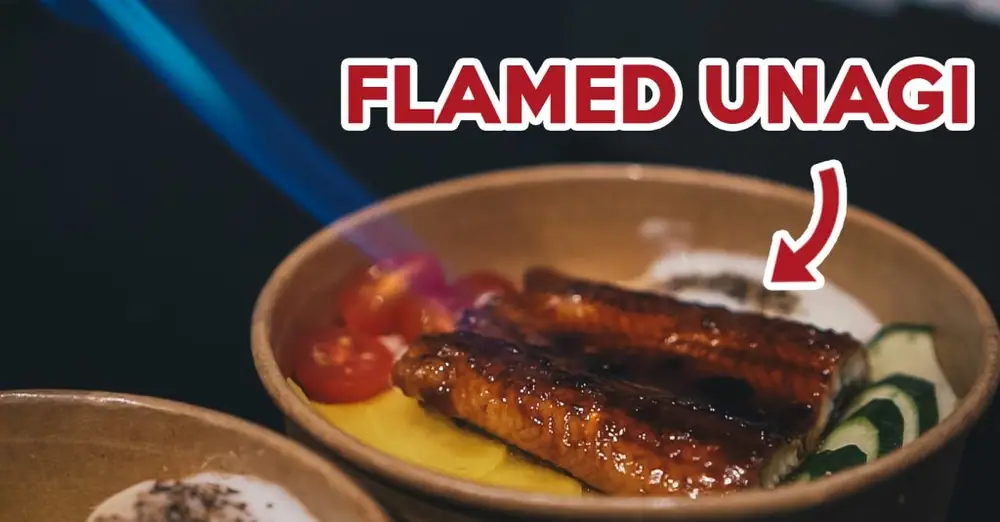 Reseña de Kenboru: Nueva tienda de donburi de salmón flameado y anguila por no más de $12