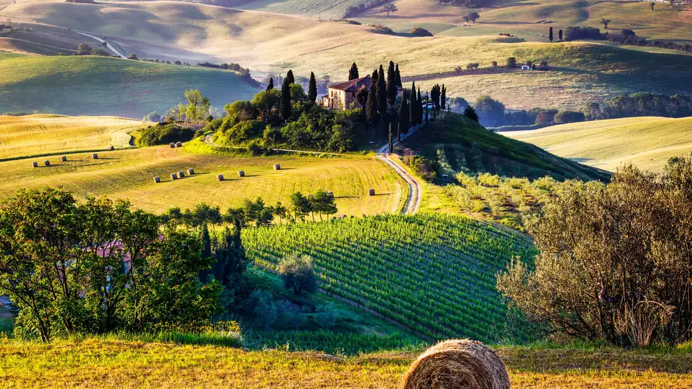 In Tuscany, a guide to green food and wine experiences is just a click away