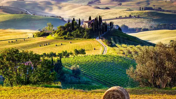 In Tuscany, a guide to green food and wine experiences is just a click away