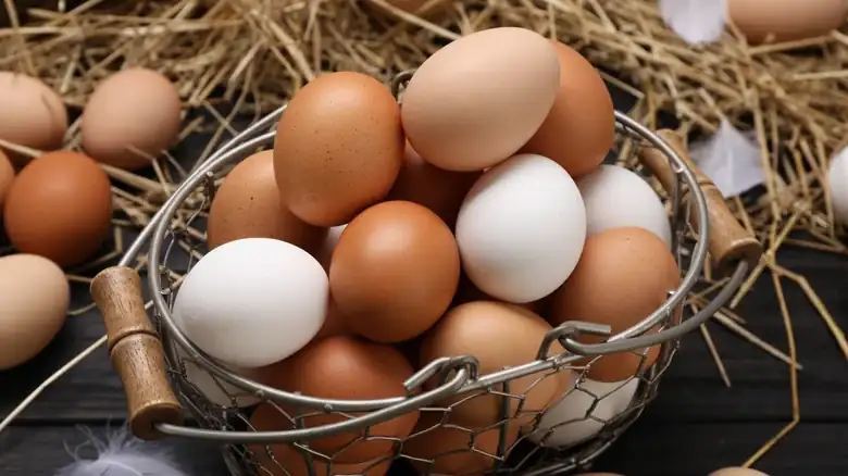 Is It More Affordable To Buy Eggs Or The Actual Chickens?