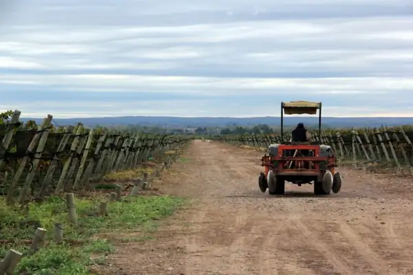 De Mendoza al mundo: la empresa mendocina que ahora elabora vinos en la Toscana