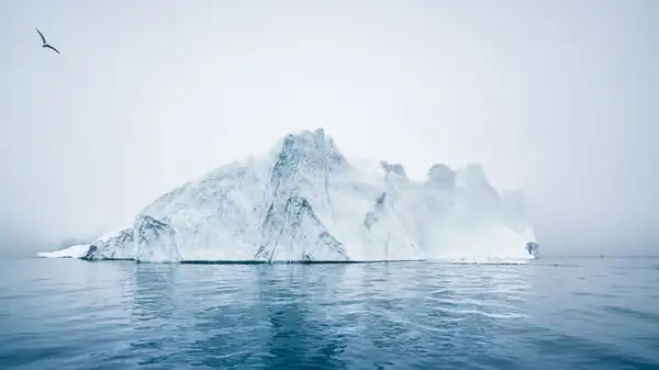 Canadian Icebergs May Be Floating In Your Cocktail On Your Next Visit
