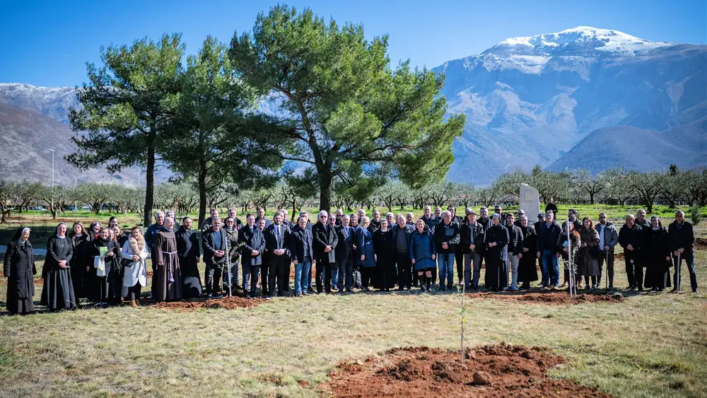 Rare Variety Unites Bosnia and Herzegovina in Olive Grove of Hope