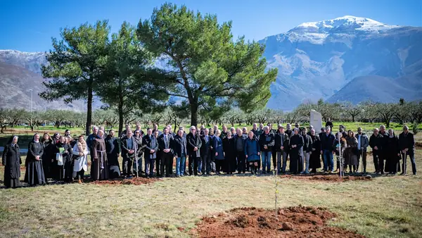 Una variedad poco común une a Bosnia y Herzegovina en el Olivo de la Esperanza