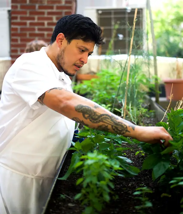 Chef of the Week: Inside Mark Ordaz’s Seasonal Kitchen at Blue Hill