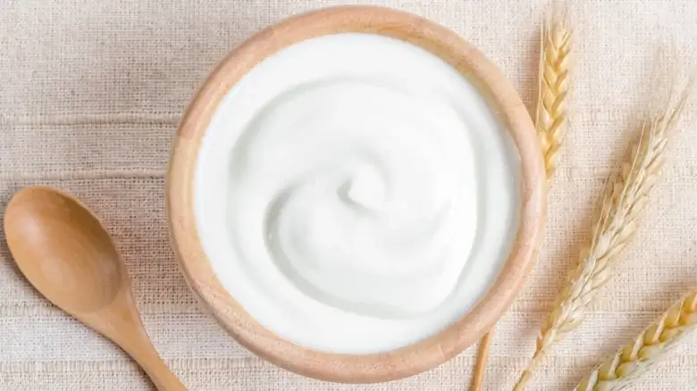 What You Need To Know Before Substituting Yogurt For Cream Cheese