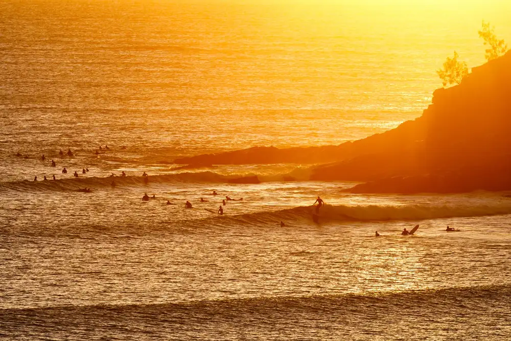 Ale Trails: The Sunshine Coast & Noosa