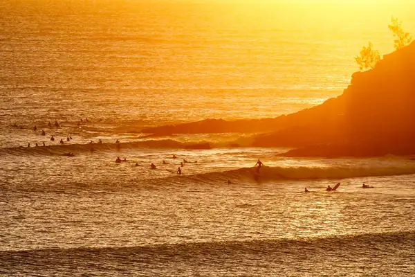 Ale Trails: The Sunshine Coast & Noosa