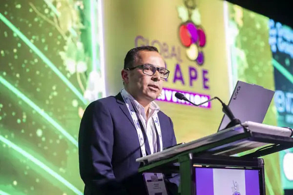 Chilean table grape trade eyes strategic shift to secure competitiveness