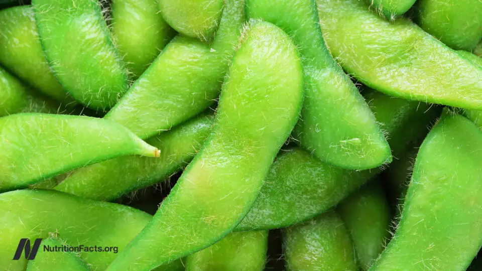 El debate sobre las proteínas: por qué la fuente importa más que la cantidad