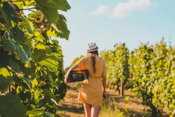 Artisan Wine Attraction, the association of wineries that defends artisanal wine