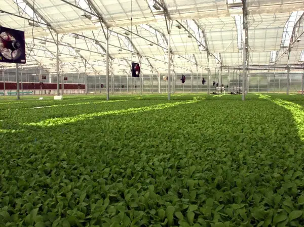 Earth Equity Farms nabs seed round