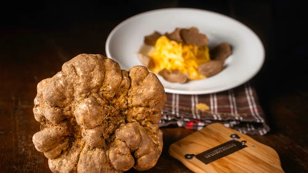 The best truffles to give as Christmas gifts: new products from Savini Tartufi