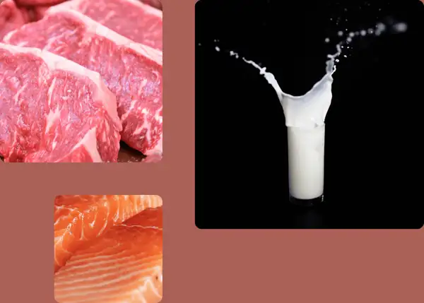 One of World’s Biggest Dairy Companies to Bring Microbial Proteins to Market