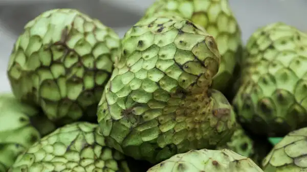 What Is A Cherimoya, And How Do You Eat One?