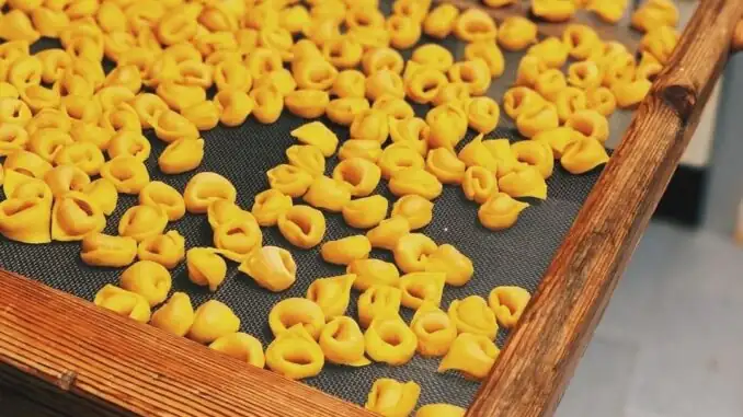 Where to shop in Bologna: ten neighborhood shops, from historic addresses to new ventures