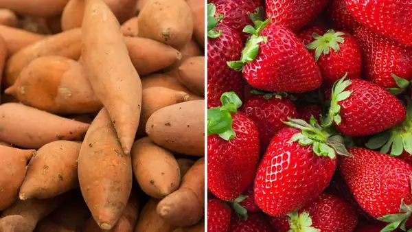 Egypt overseas sales 160,000 tons of food in weekly trade; sweet potatoes and strawberries lead