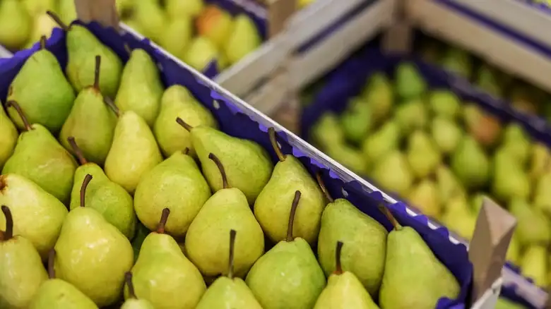 The Best Way To Store Pears For Ultimate Freshness