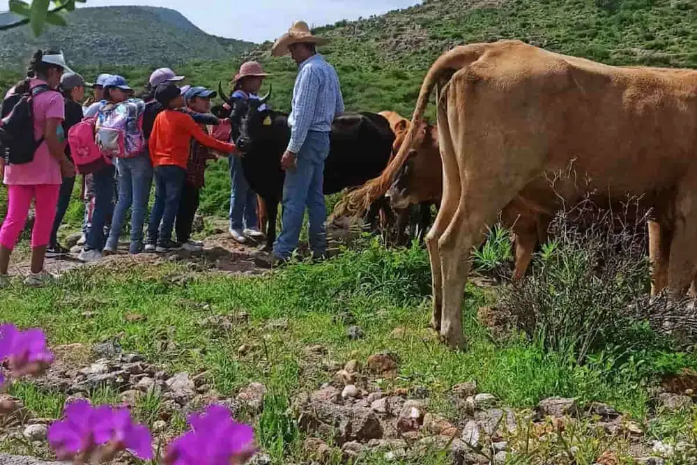 Proyecto Garambullo recupera en Colón la cocina colectiva y los alimentos silvestres de Querétaro
