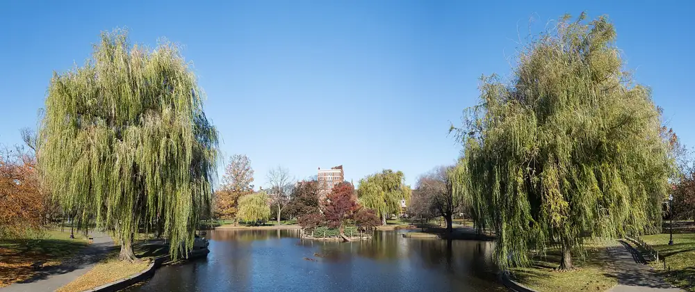 Descubre la fiesta del té que no te puedes perder en Boston