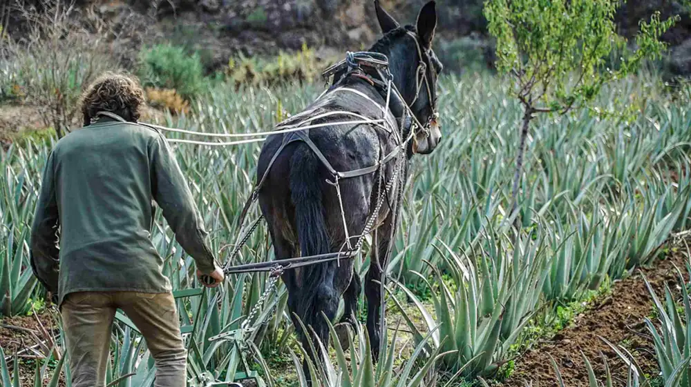 Los mejores productores sostenibles según El Celler de Can Roca