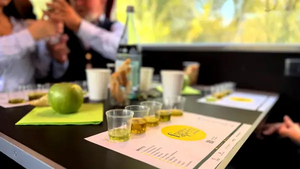El Tren del Aceite de Oliva anima 'Frantoi Aperti' en Umbría