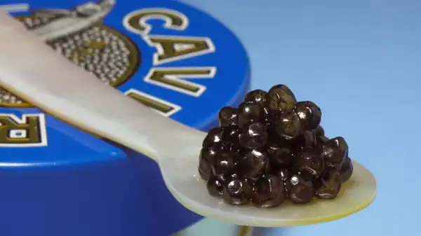 Caviar: To Chew, Or Not To Chew?