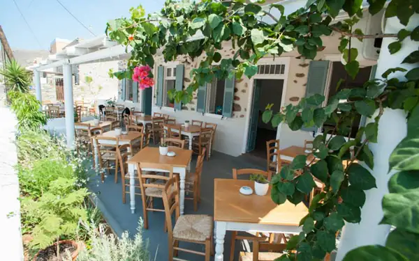 Perroquet Tranquille: Franco-Syrian cooking