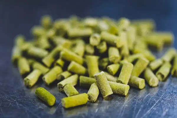 Frozen in time: A fresh take on wet hop beers