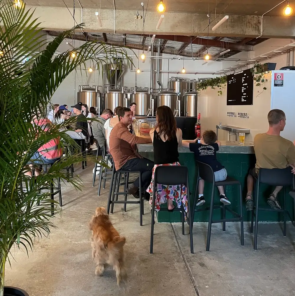 Future Brewing opens in Sydney's Inner West