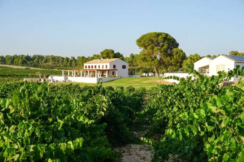 Clos Cor Ví relaunches its project with four wines focused on Moixent and Requena
