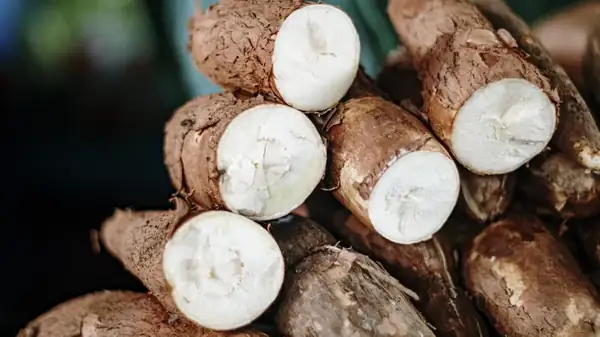 Cassava isn't a potato, but it works better in many recipes.