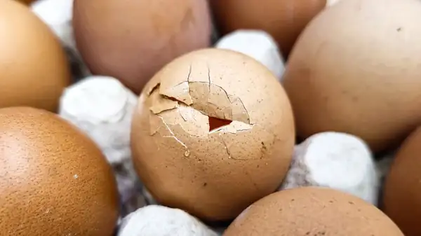 Why It's So Important To Avoid Buying Cracked Eggs