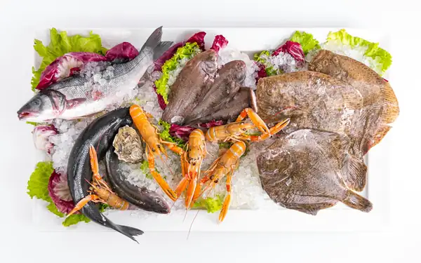 Lisbon's JNcQUOI House Opens Fish, an Atlantic Kitchen, With a Table Below It